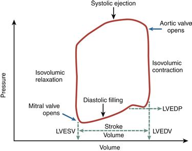 lv constant pressure|normal Lv end diastolic pressure.